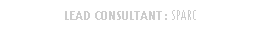 Rounded Rectangle: LEAD CONSULTANT : SPARC