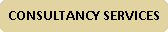 Rounded Rectangle: Consultancy Services
